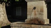 VAR_357_001.mov