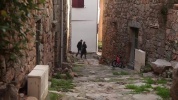 VPG_181_001.mov