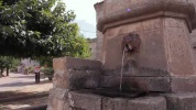 VSV_018_001.mov