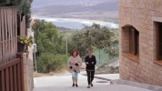 VSV_035_001.mov