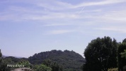 VSV_115_001.mov