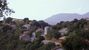 VSV_128_001.mov
