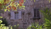 VSV_129_001.mov