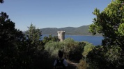VTO_276_001.mov