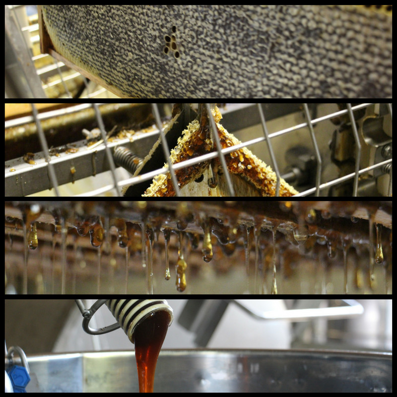 Apiculture et miel Apiculture et miel