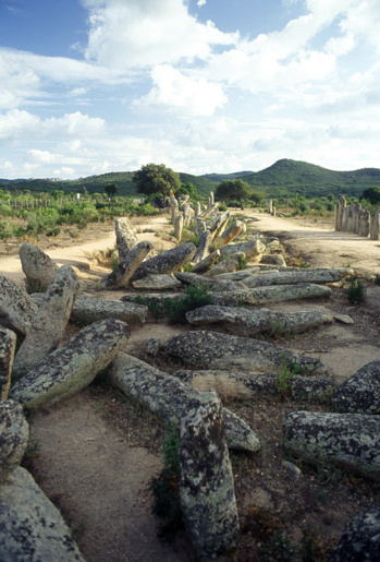 Vue générale de Paddaghju Vue générale de Paddaghju