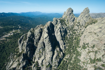 La forêt de Bavella