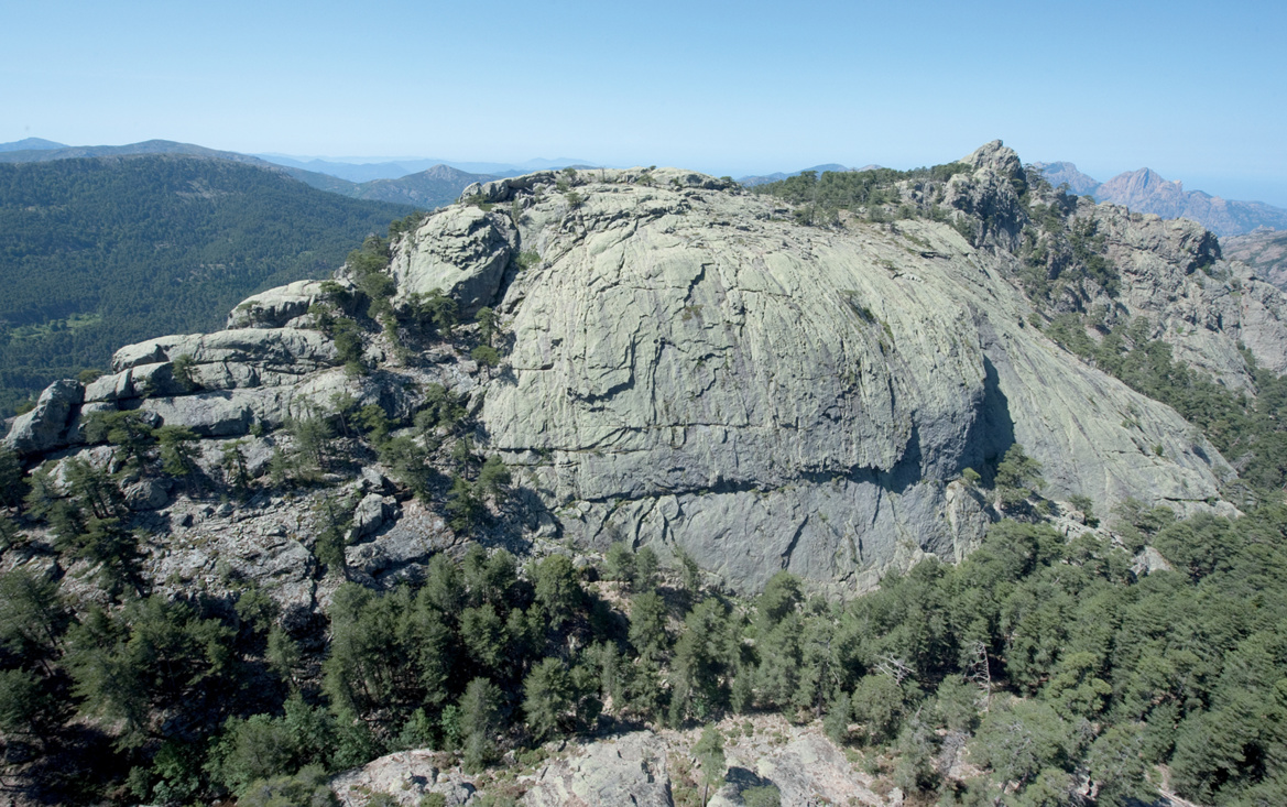 Forêt d'Aitone