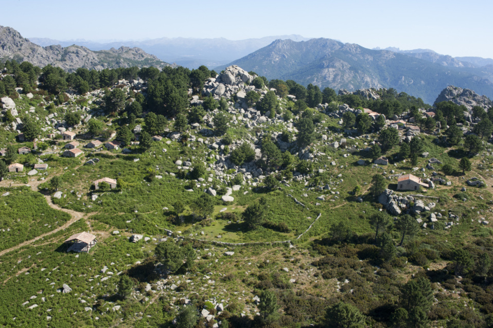 Les massifs forestiers Les massifs forestiers