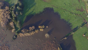 Étang de Tanchiccia Étang de Tanchiccia