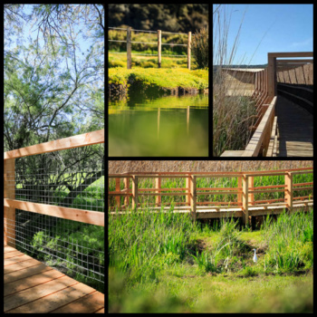 Étang de Tanchiccia Étang de Tanchiccia