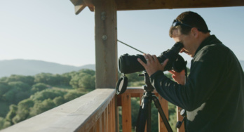 Étang de Tanchiccia Étang de Tanchiccia