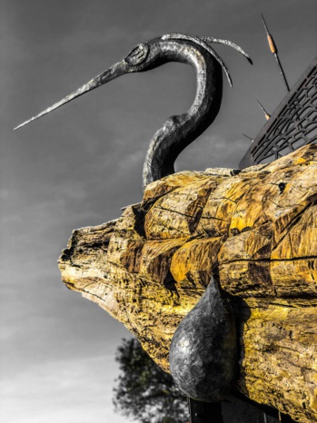 Étang de Tanchiccia Étang de Tanchiccia