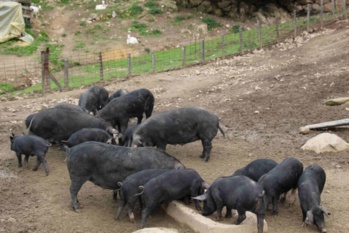 La charcuterie La charcuterie