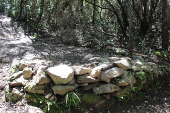 La charbonnière La charbonnière