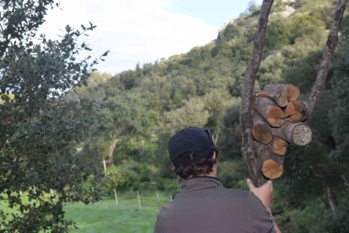 La charbonnière La charbonnière