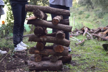 La charbonnière La charbonnière