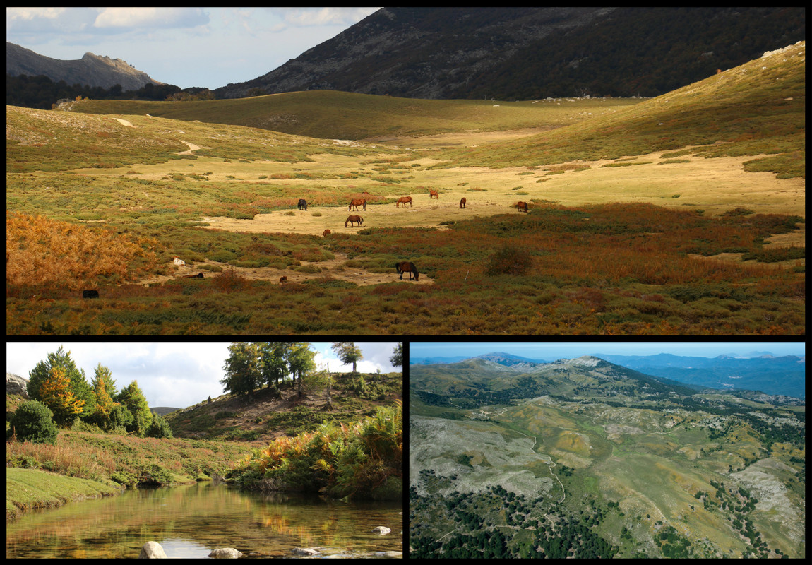 Plateau du Cuscionu