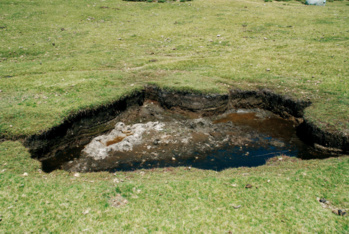 le plateau du Cuscionu