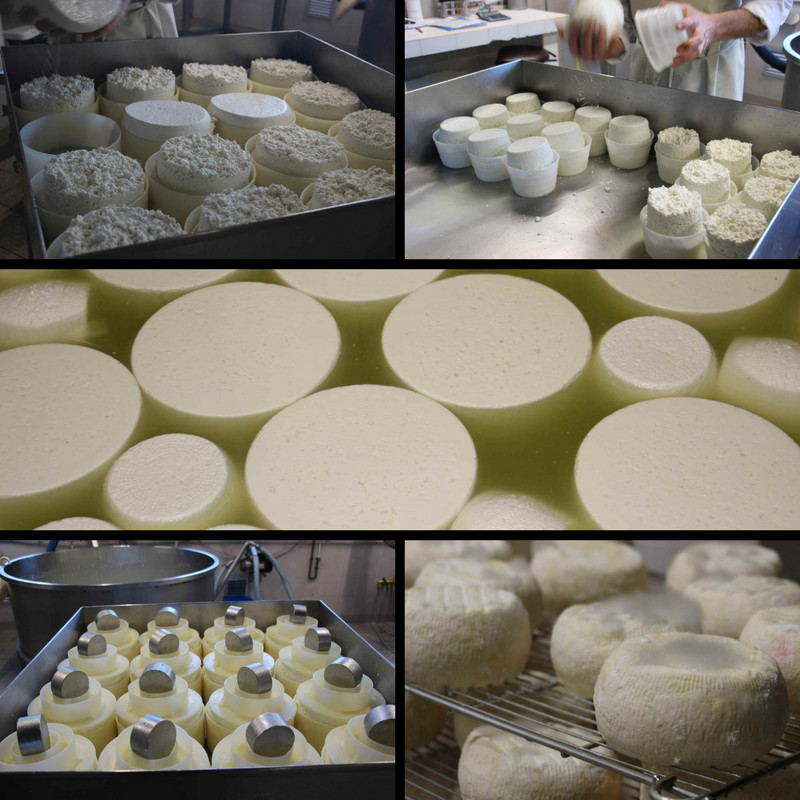 Production Fromagère