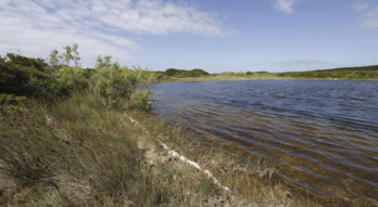Crédits Conservatoire du Littoral