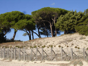 Crédits Conservatoire du Littoral