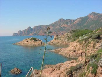 Crédits Conservatoire du Littoral