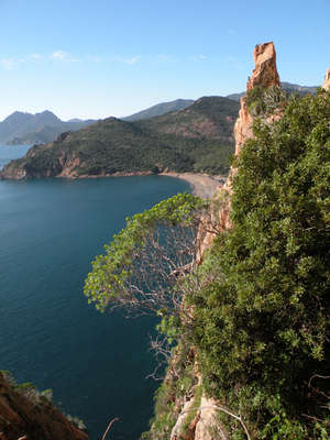 Crédits Conservatoire du Littoral