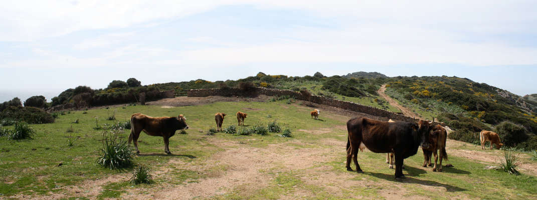 Crédits Conservatoire du Littoral