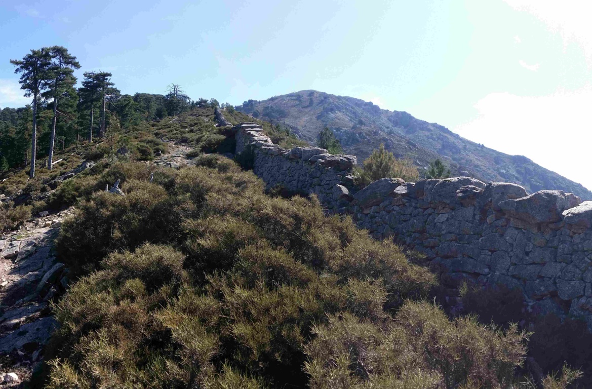 Restauration des murets en pierres sèches Restauration des murets en pierres sèches