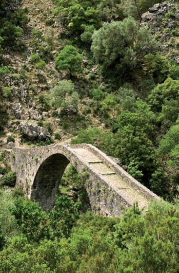 Nos Partenaires Nos Partenaires