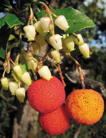 Nos Partenaires Nos Partenaires