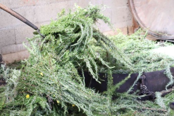 Les Huiles Essentielles Les Huiles Essentielles