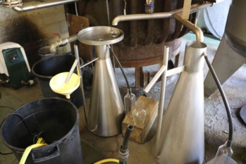 Les Huiles Essentielles Les Huiles Essentielles