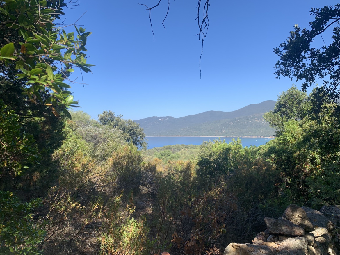 Ascolta è Viaghja ! Ascolta è Viaghja !