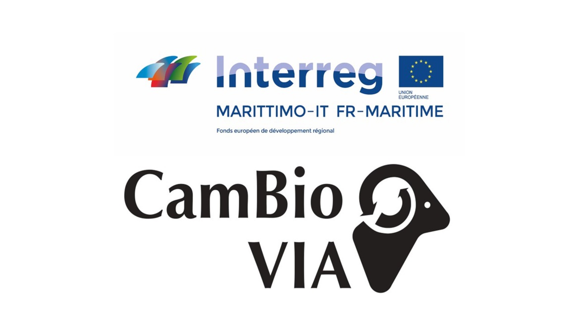 Découvrez le Corsica Explor games ® : Andria et le cristal de Couleur Découvrez le Corsica Explor games ® : Andria et le cristal de Couleur