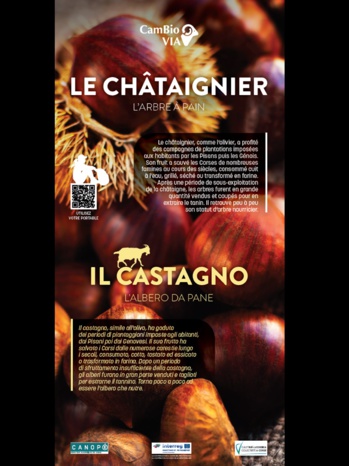 Una strada Una strada