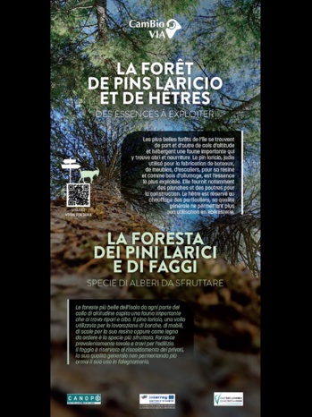 Una strada Una strada