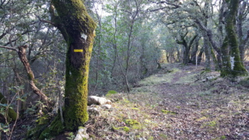 Viaghjà da paesi à paesi Viaghjà da paesi à paesi