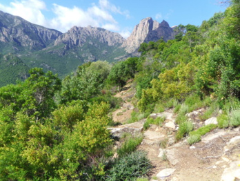Sentiers de randonnée Sentiers de randonnée