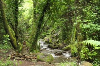 Sentiers de randonnée Sentiers de randonnée