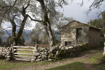 Stradi antichi Stradi antichi