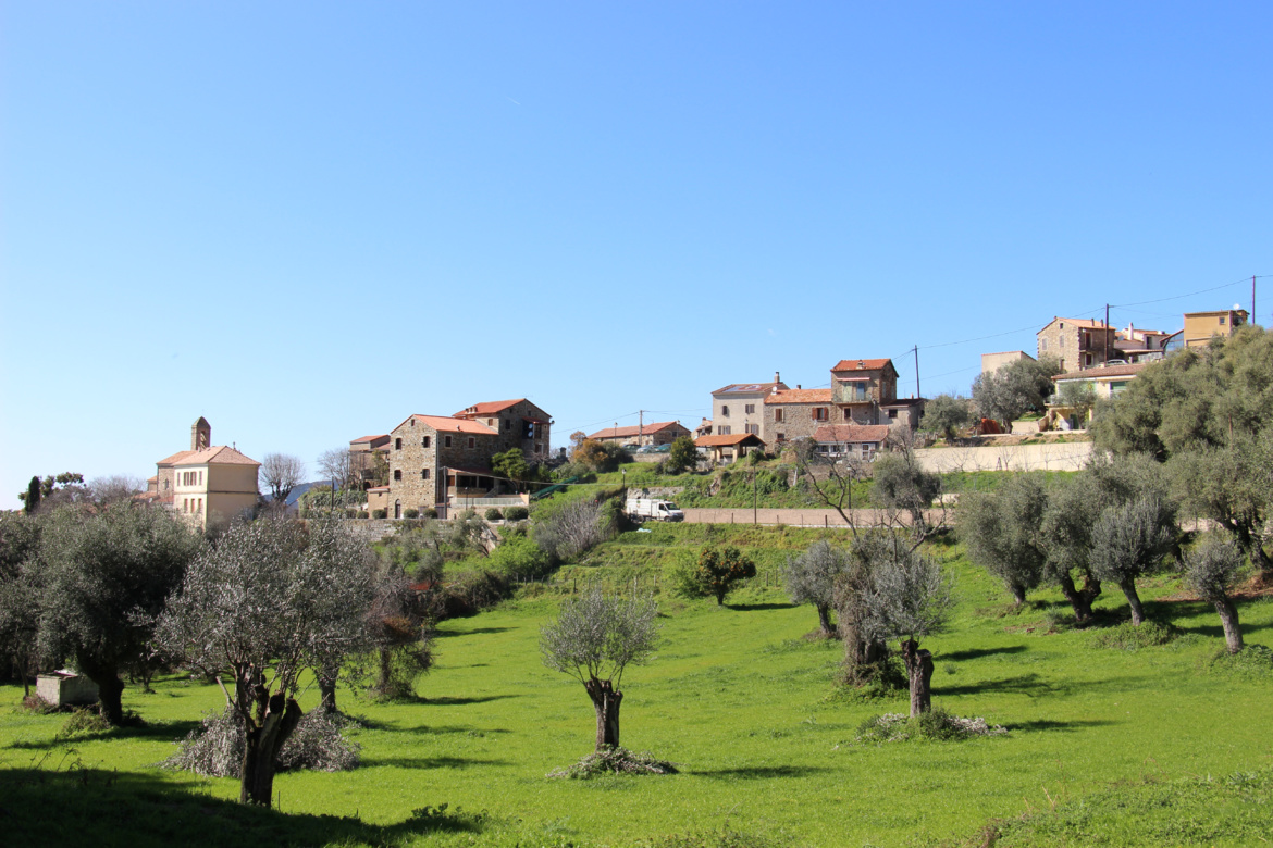 Ambiegna (Ambiegna) Ambiegna (Ambiegna)