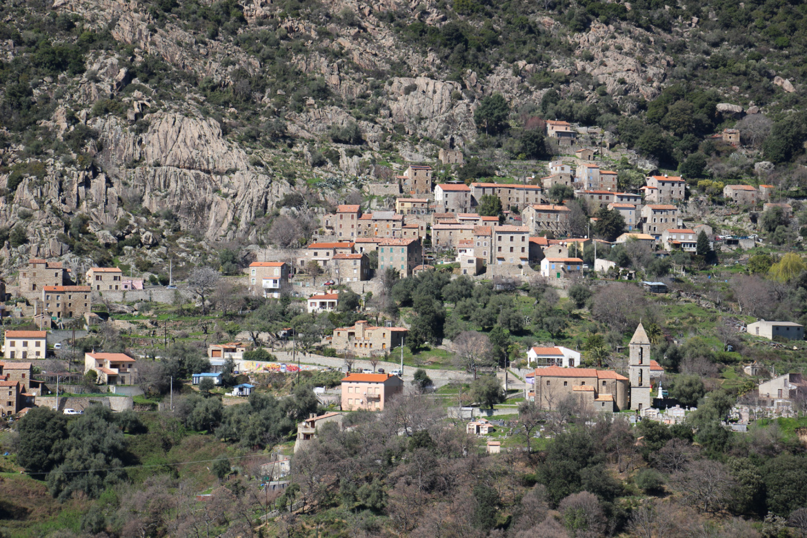 Balogna (Balogna) Balogna (Balogna)