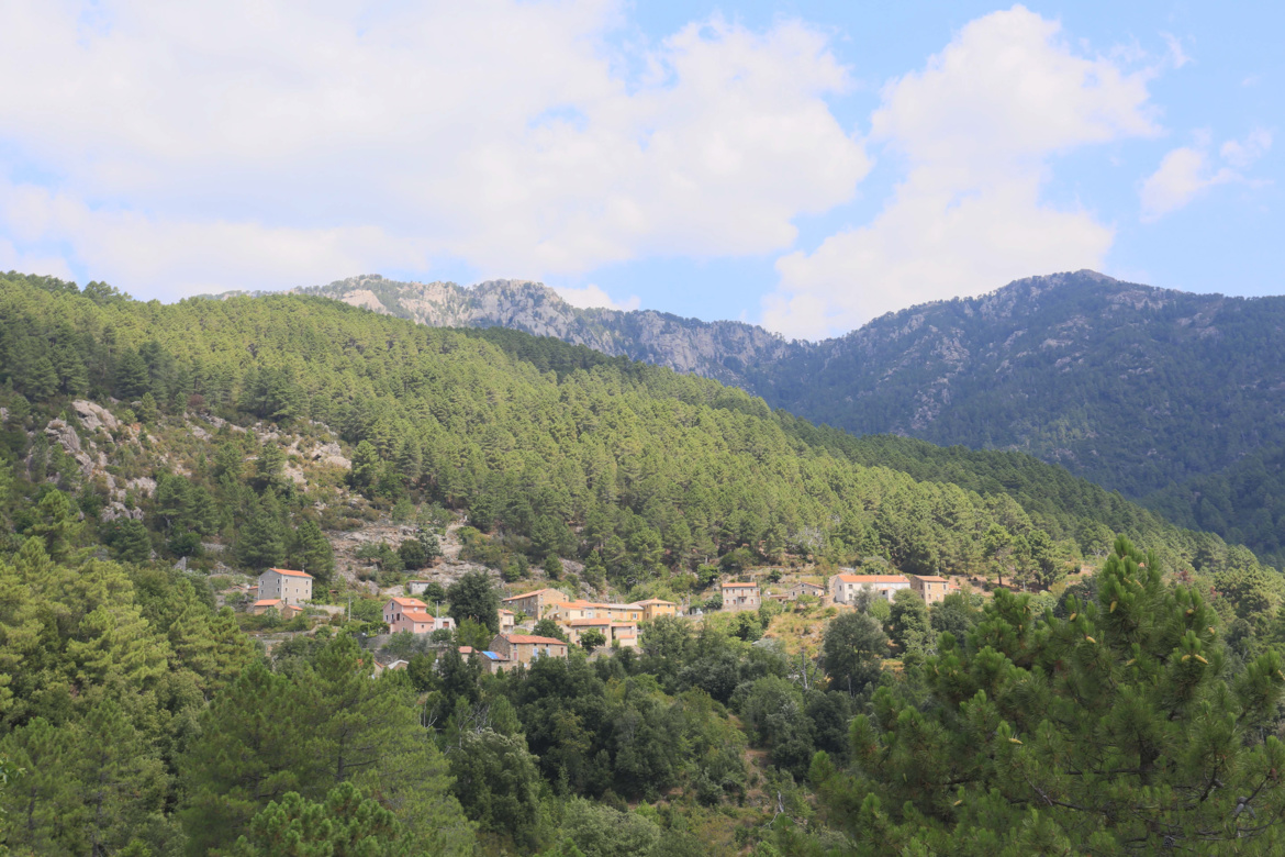 Pastricciola (Pastricciola) Pastricciola (Pastricciola)