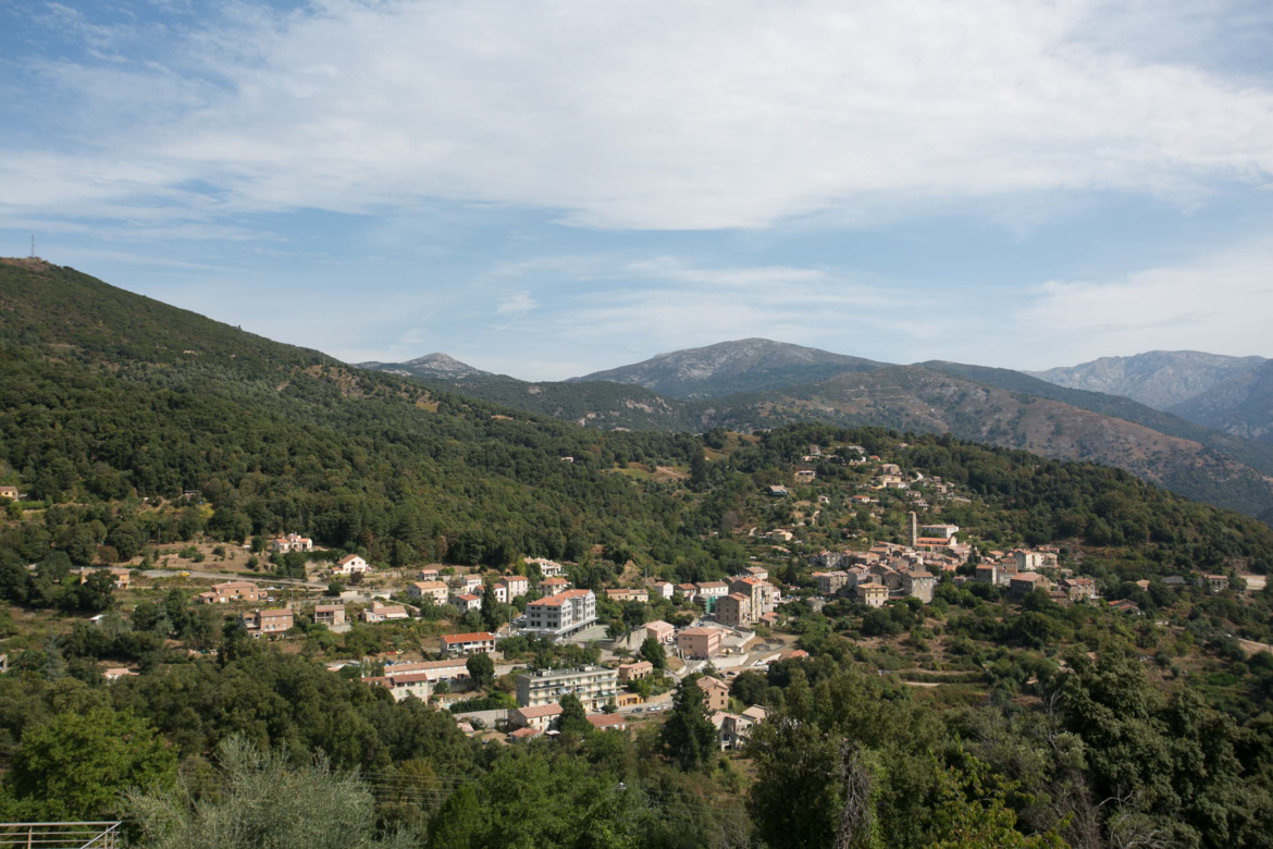 Vico (Vicu) Vico (Vicu)
