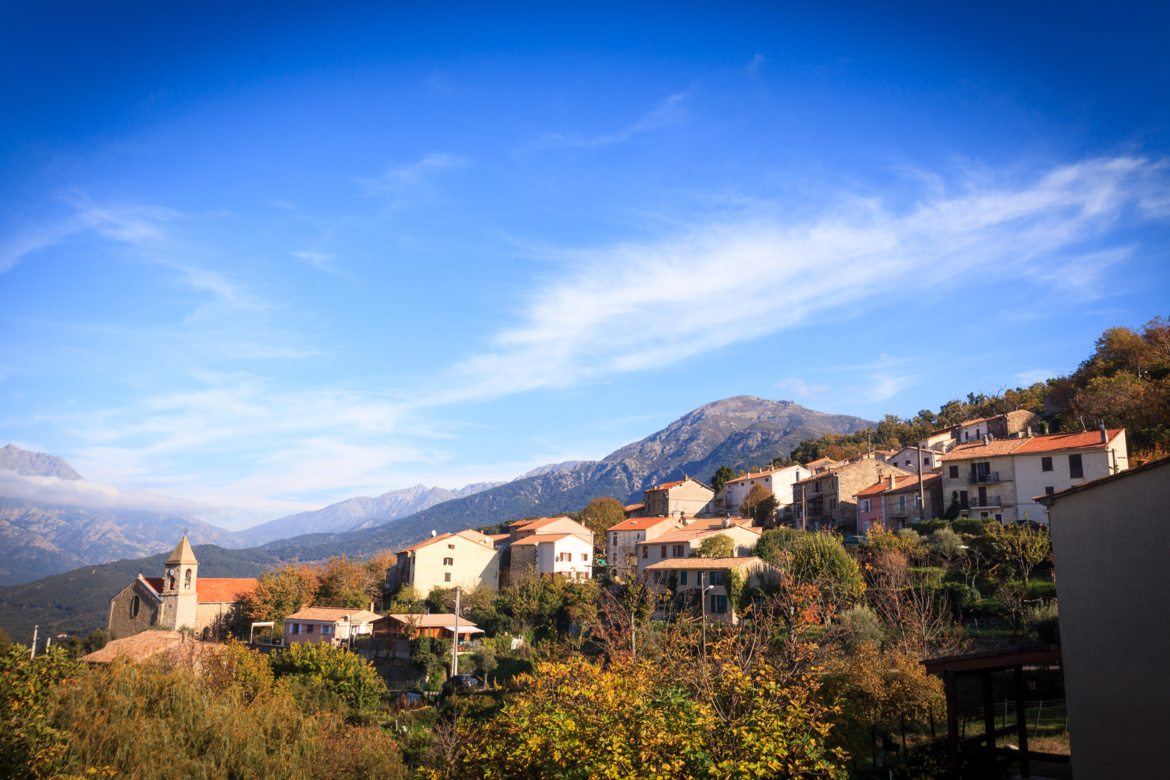 Carbuccia (Carbuccia)