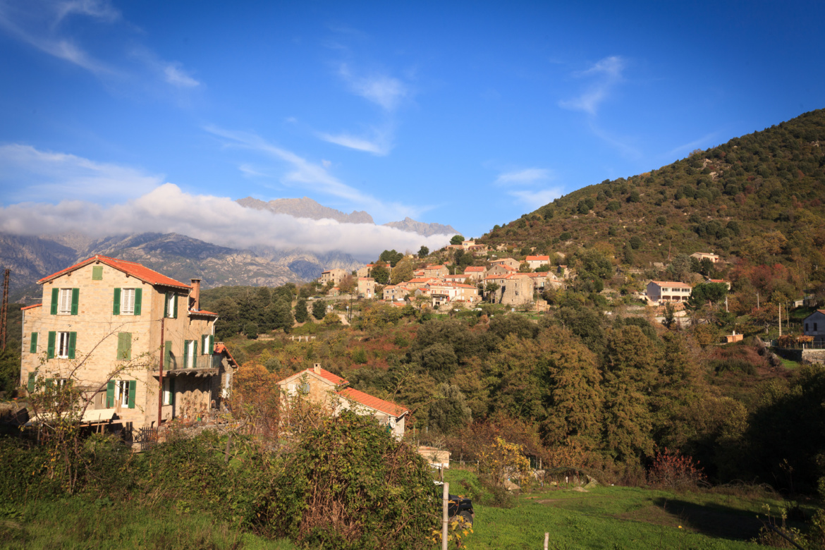Tavera (Tavera) Tavera (Tavera)