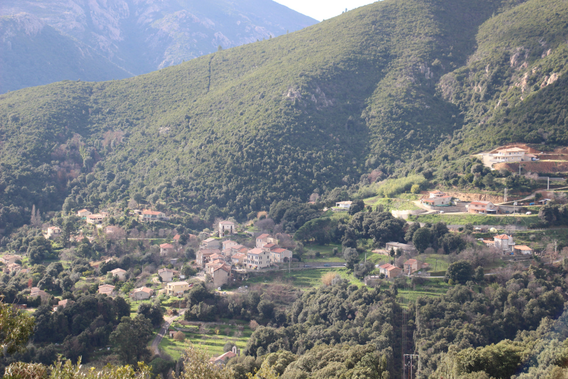 Valle-di-Mezzana (A Vaddi di a Mizana)