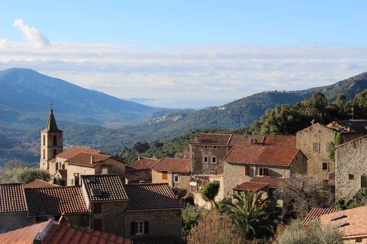 Vero (Veru) Vero (Veru)